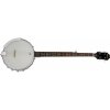 Epiphone MB-100 banjo 